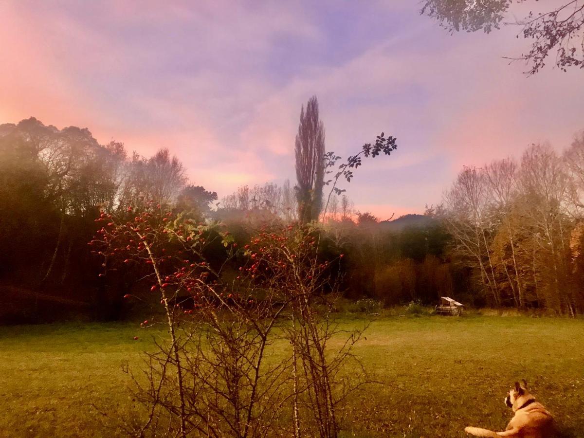 Elementos Eco Lodge Pucón Dış mekan fotoğraf